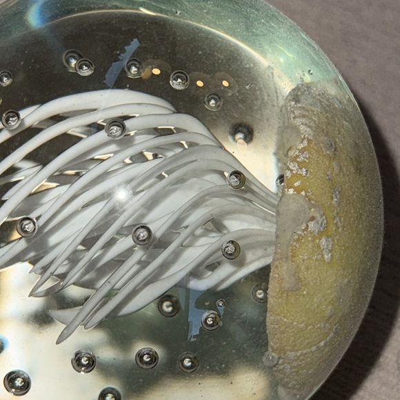 Jelly Fish Art Glass Sculpture Paper Weight - Picture 4 of 9